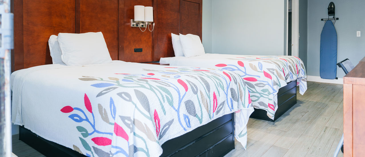 Efficient Standard Double Room Efficient Standard Double Room